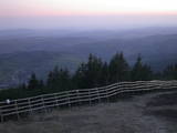20 : 41
