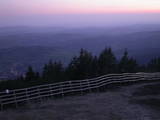 20 : 49