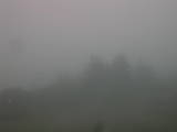 06 : 49