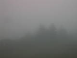 13 : 01