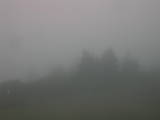 13 : 45