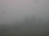 14 : 29