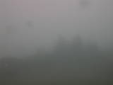 14 : 41