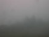 15 : 01