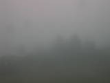 15 : 21