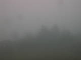 15 : 33