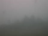 16 : 13