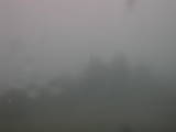 16 : 49