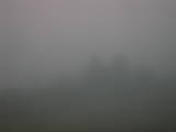 19 : 25