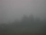 19 : 49