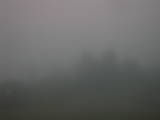 20 : 03