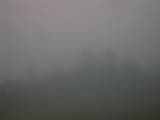 20 : 11