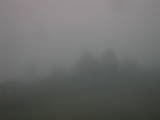 20 : 15