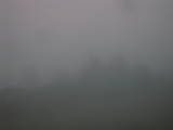 20 : 25