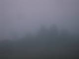 20 : 33