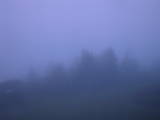 04 : 29