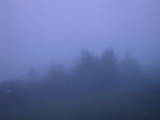04 : 33