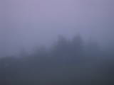 04 : 41
