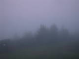 04 : 49