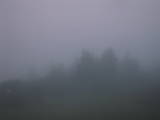 05 : 01