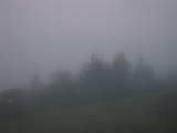 05 : 05