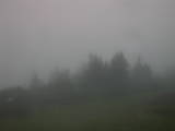 05 : 49