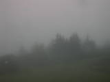 06 : 33