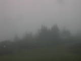 06 : 49