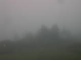 07 : 31