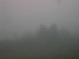 07 : 49