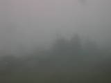 08 : 19