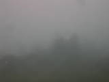08 : 33