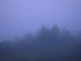 04 : 29