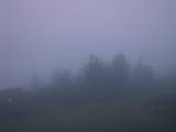 04 : 41