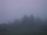 04 : 53