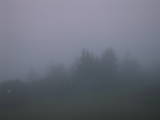 05 : 01