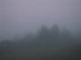 05 : 05