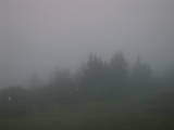 05 : 25