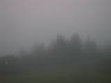 05 : 29