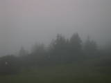 05 : 33