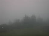 05 : 49