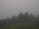 06 : 17