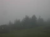 06 : 33