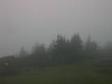 06 : 41