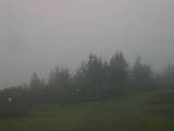 06 : 49