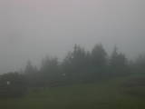 07 : 03