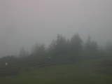 07 : 05