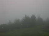 07 : 19