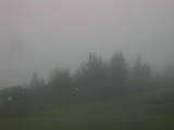 07 : 29