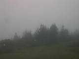 07 : 31